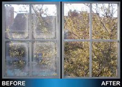 Comprehensive Glass Repair Services in Great Dunmow